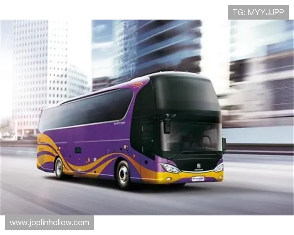 亚星YBL6148型大三轴客车的行业竞争优势与市场占有率分析 亚星YBL6148型大三轴客车的行业竞争优势与市场占有率分析