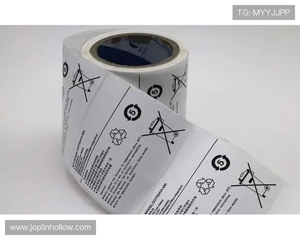 亚星电子在电子产品开发中的核心优势与未来发展战略详解