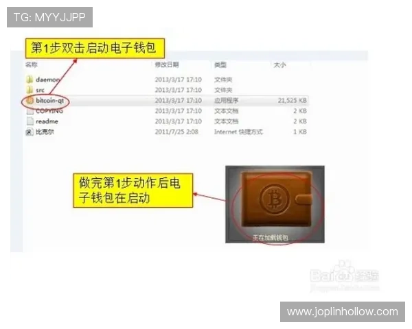 新手必看：亚星正网会员登录的详细步骤与注意事项